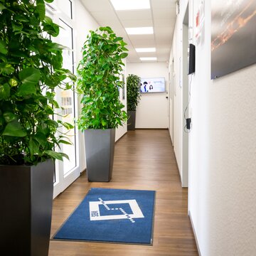 Flur mit Begrünung und einem blauen Teppichläufer mit WBS TRAINING Logo. An der Wand hängt eine kunstvolle Uhr.