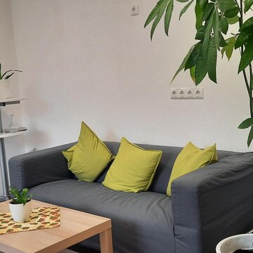graues Sofa mit grünen Kissen, daneben eine große Zimmerpflanze. Vor dem Sofa steht ein Beistelltisch mit Deko.