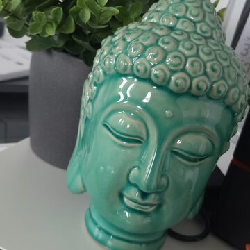 Dekoration. Buddhas Kopf aus Porzellan und eine grüne Topfpflanze.