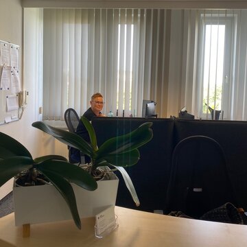 Eine Mitarbeiterin sitzt am Empfang. Fensterfront und großes Whiteboard. Kleine, grüne Topfpflanze im Vordergrund des Fotos.
