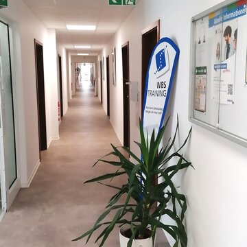 Heller, sauberer Flur im Schulgebäude. Auf der rechten Seite hängt ein Informationsbrett an der Wand und davor steht eine grüne Zimmerpflanze.