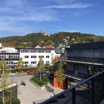 Sonnige Aussicht vom Balkon mit Blick auf einen Hof mit Grünflächen und Bäumen. Im Hintergrund ein weißes Nachbarhaus und Parkplätze hinter dem ein Berg mit Wald ragt.