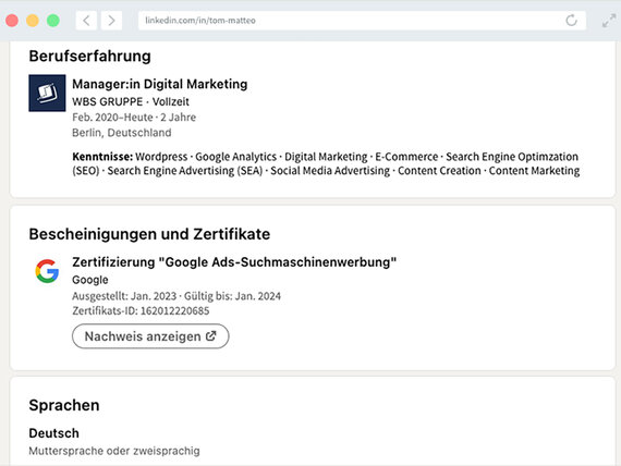 LinkedIn Profil mit dem Bereich Berufserfahrung.