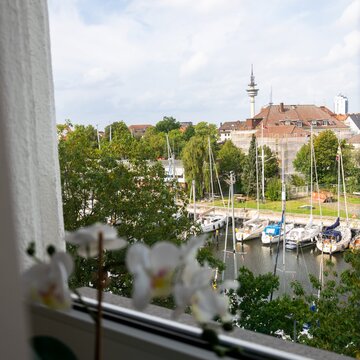 Blick aus dem Fenster am Standort. Ein Gewässer mit Segelbooten und vielen Bäumen.