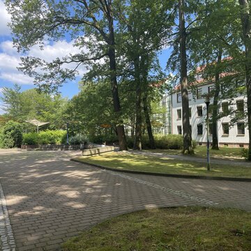Eine gepflasterte Straße mit Grüninseln und Bäumen.