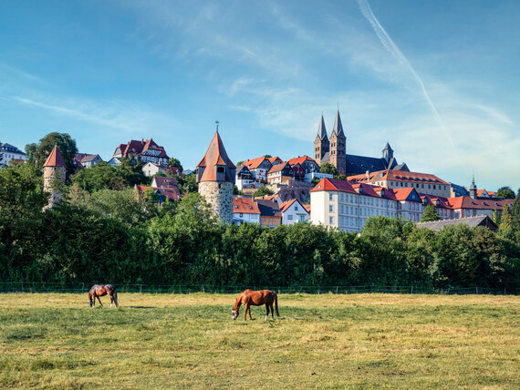 Pferde auf einer Wiese vor Fritzlar im Bundesland Hessen