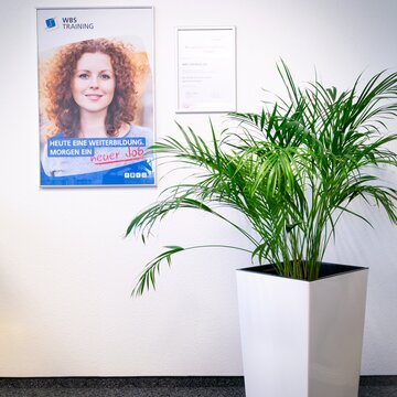 Grünpflanze im Flur. Dahinter ein WBS TRAINING Plakat.