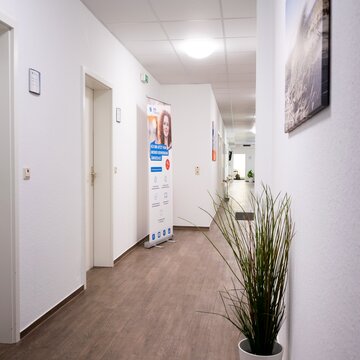 Heller Flur mit einigen Türen zu verschiedenen Räumen. Bild an der Wand und Topfpflanze.