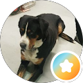Profilbild von Frances P.