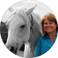 Profilbild von Harmoniepferd