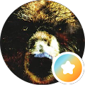 Profilbild von Marcel R.