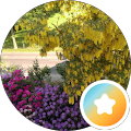 Profilbild von Susanne