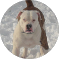 Profilbild von Marco Gods