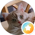 Profilbild von Susanne Wild