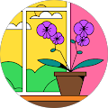 Profilbild von Blume