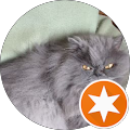 Bild Eich Kater