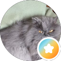 Profilbild von Eich Kater