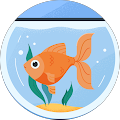Profilbild von locoguppy