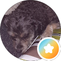 Profilbild von Anke Boccaccio