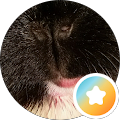 Profilbild von Elliefant